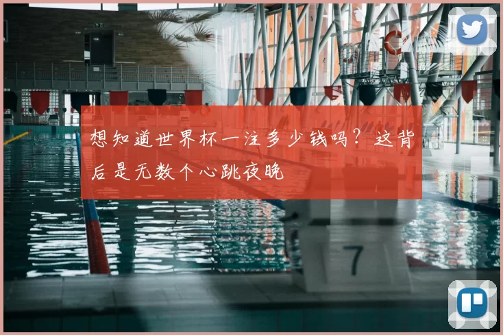 想知道世界杯一注多少钱吗？这背后是无数个心跳夜晚