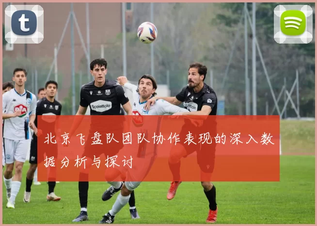 北京飞盘队团队协作表现的深入数据分析与探讨