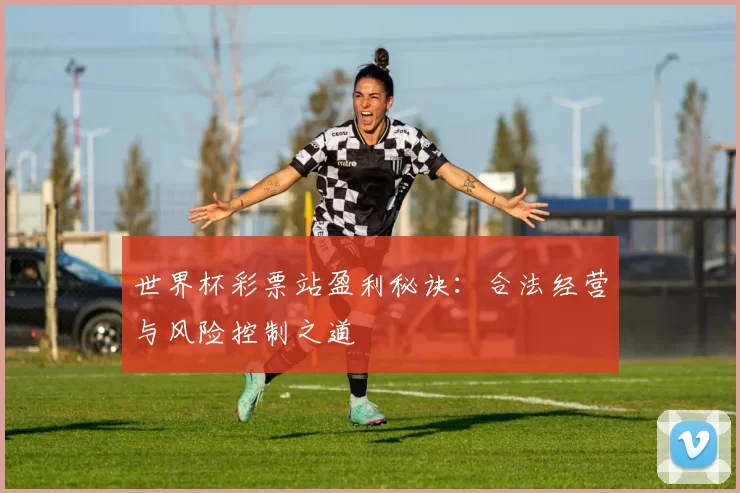 世界杯彩票站盈利秘诀：合法经营与风险控制之道