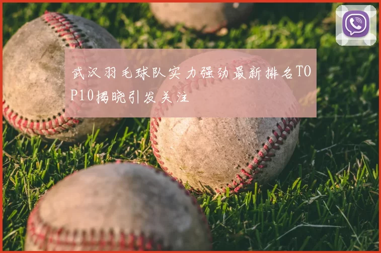武汉羽毛球队实力强劲最新排名TOP10揭晓引发关注
