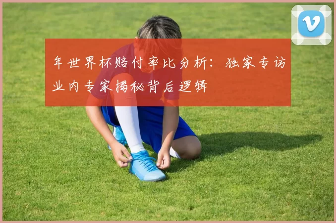 年世界杯赔付率比分析：独家专访业内专家揭秘背后逻辑