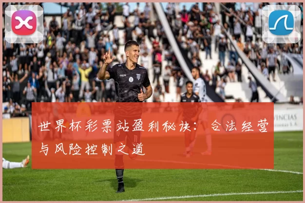 世界杯彩票站盈利秘诀：合法经营与风险控制之道