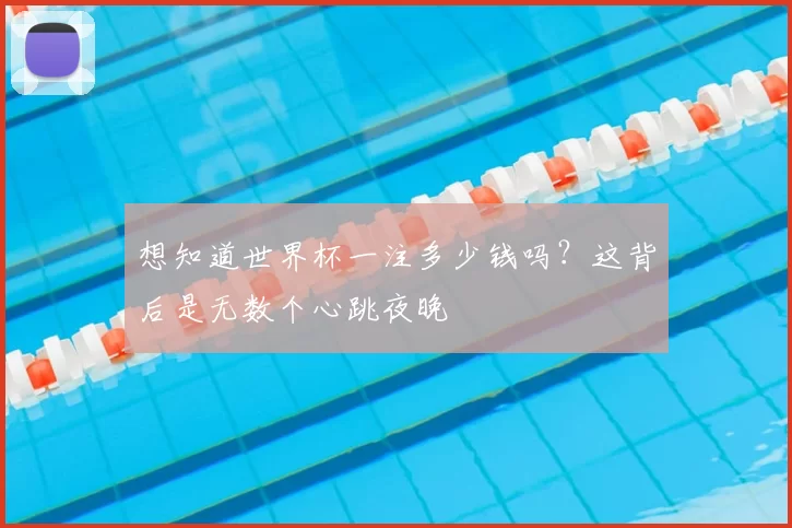 想知道世界杯一注多少钱吗？这背后是无数个心跳夜晚