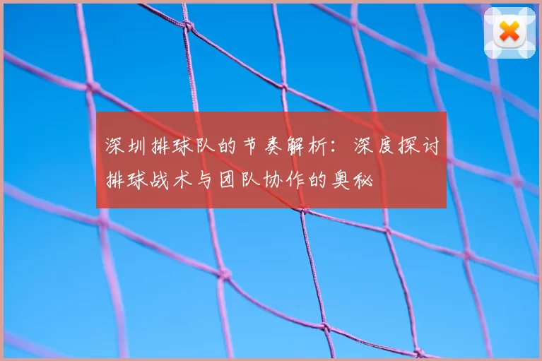 深圳排球队的节奏解析：深度探讨排球战术与团队协作的奥秘