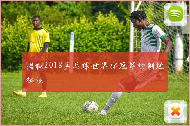 揭秘2018乒乓球世界杯冠军的制胜秘诀