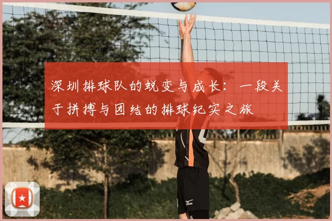 深圳排球队的蜕变与成长:一段关于拼搏与团结的排球纪实之旅