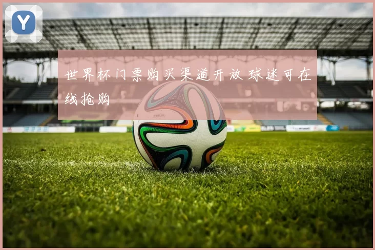 世界杯门票购买渠道开放 球迷可在线抢购