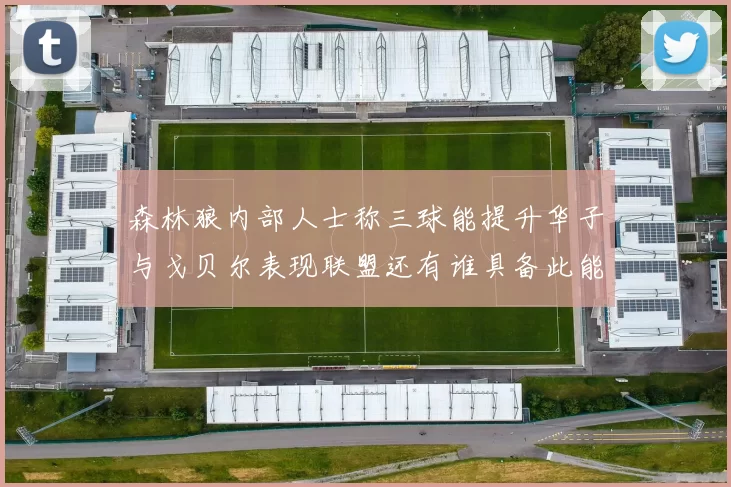 森林狼内部人士称三球能提升华子与戈贝尔表现联盟还有谁具备此能力