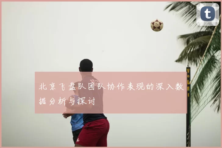 北京飞盘队团队协作表现的深入数据分析与探讨