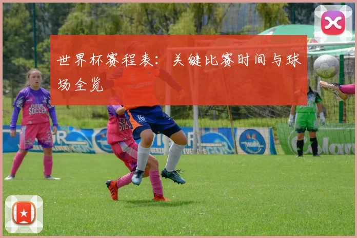 世界杯赛程表：关键比赛时间与球场全览