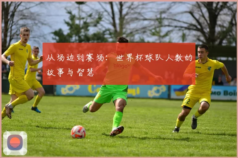 从场边到赛场：世界杯球队人数的故事与智慧