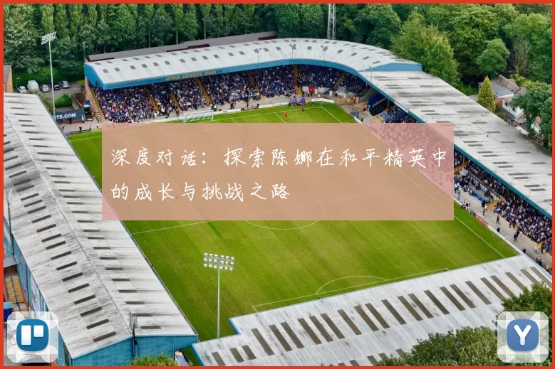 深度对话：探索陈娜在和平精英中的成长与挑战之路