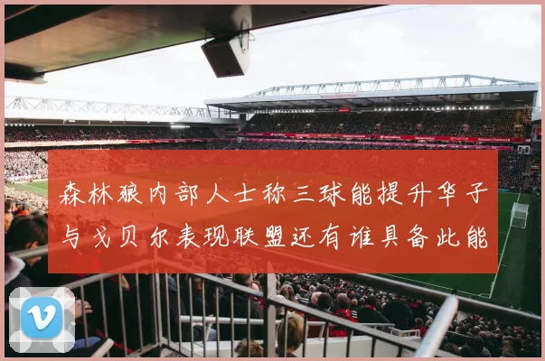 森林狼内部人士称三球能提升华子与戈贝尔表现联盟还有谁具备此能力