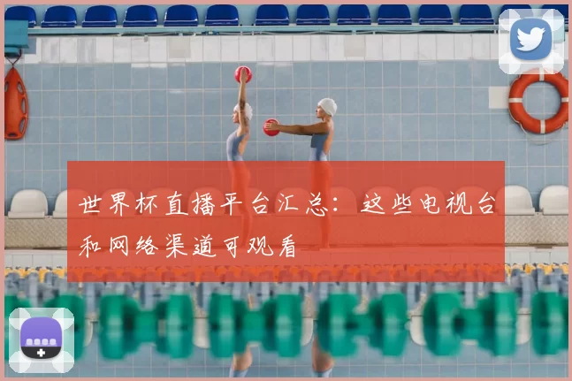 世界杯直播平台汇总:这些电视台和网络渠道可观看