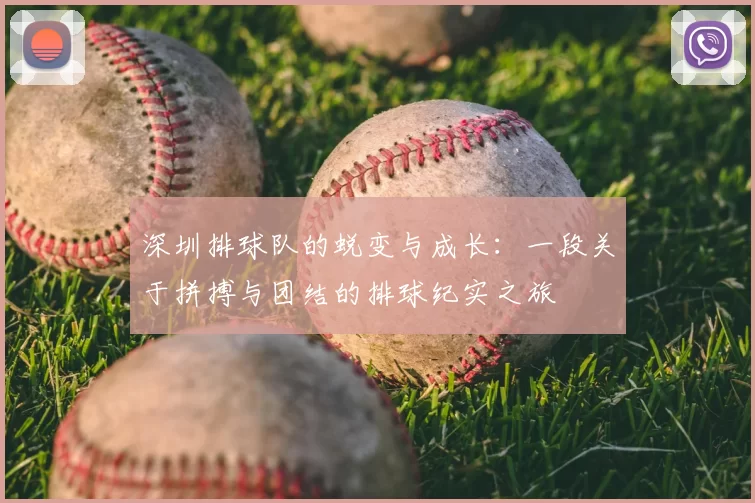 深圳排球队的蜕变与成长:一段关于拼搏与团结的排球纪实之旅