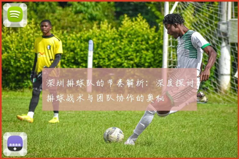 深圳排球队的节奏解析：深度探讨排球战术与团队协作的奥秘
